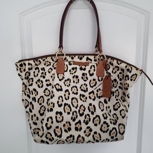 Leopard Dooney & Burke